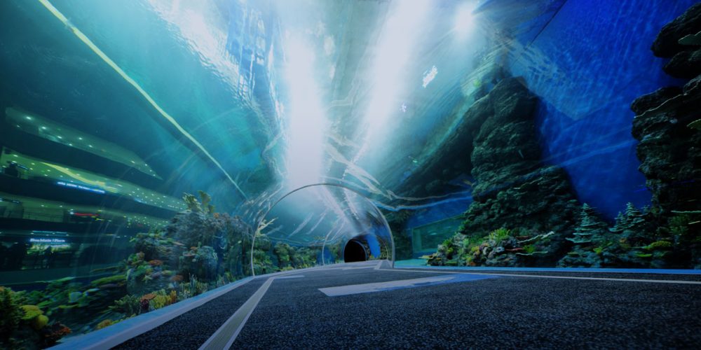Acryls Vernieuwde Oceanariums: China's Deep-Sea Tech-Eco Innovations