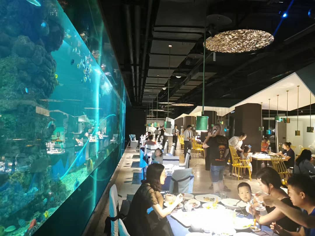 Acryl-aquatisch restaurant: een transparante dialoog tussen diepzee-technologie en ecologie