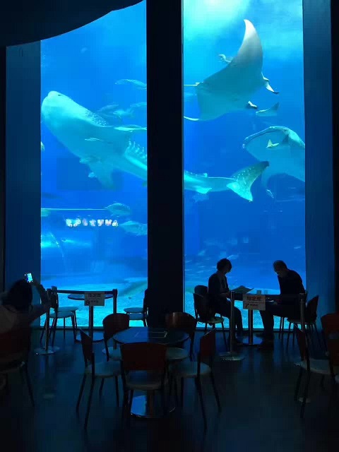 Wat zijn de belangrijkste ontwerppunten voor het bekijken van Aquarium -vensters?