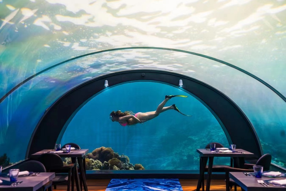 Aquariumvenster