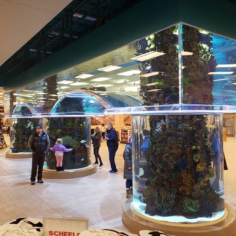 Winkelcentrum Acryl Aquarium